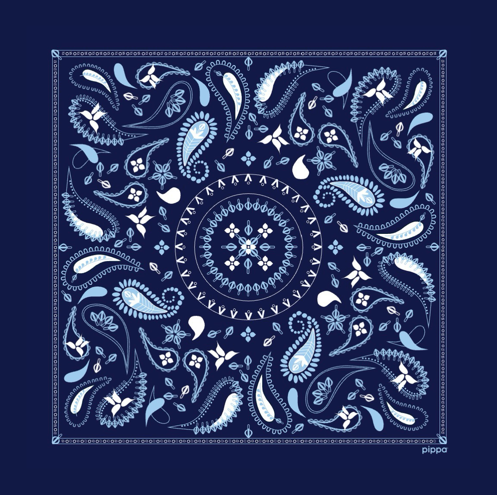 Pippa® Resistance Spring Gift Kit