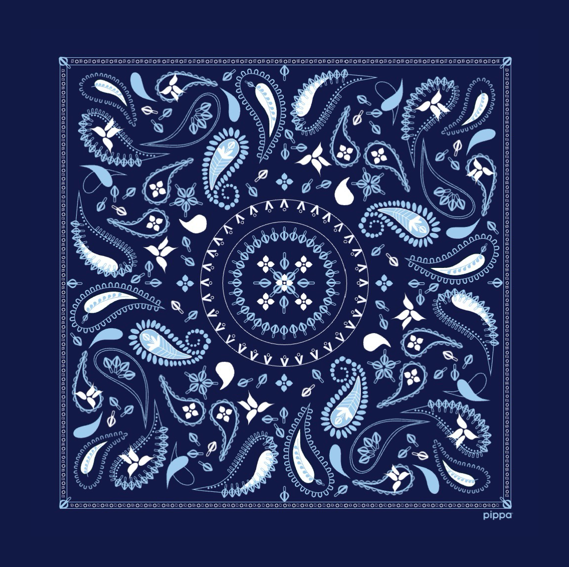 Pippa® Resistance Spring Gift Kit