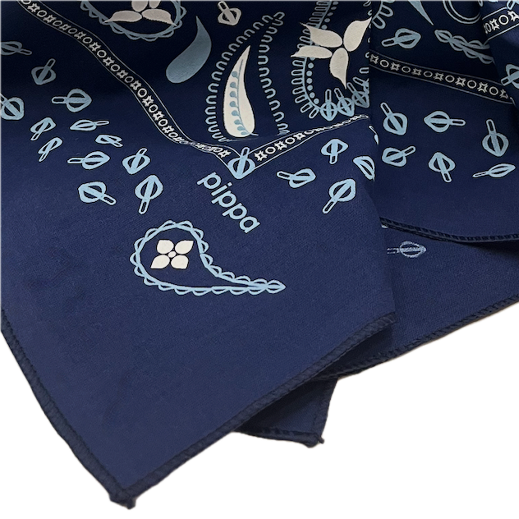 Pippa® Resistance Spring Gift Kit